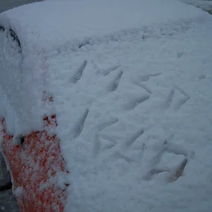 SnowDay2009 009.webp