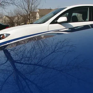 IMG_1654 - Copy.webp