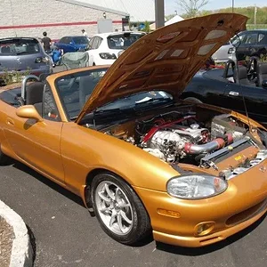 P5022527 [640x480].webp