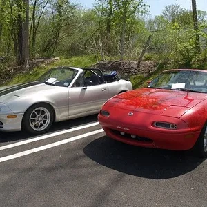 P5022528 [640x480].webp