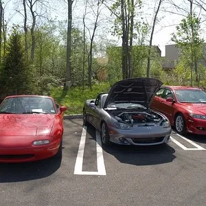 P5022530 [640x480].webp