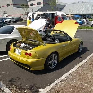 P5022531 [640x480].webp