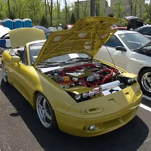 P5022532 [640x480].webp