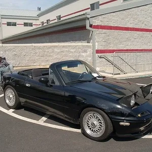 P5022538 [640x480].webp