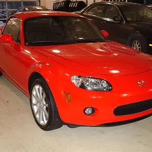 DSC01984 (Medium).webp