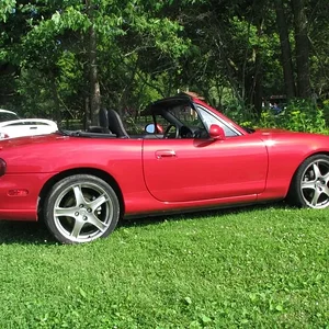 IMG_2017 - Copy.webp