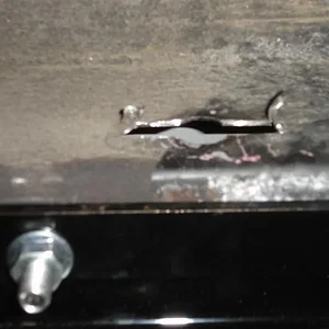 DSC02955 (Medium).webp