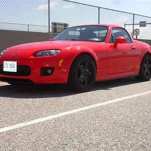 DSC02994 (Medium).webp