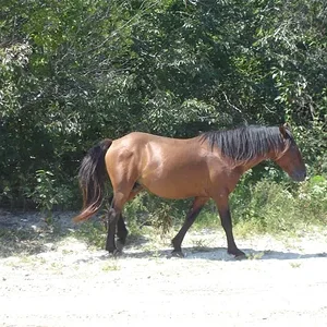 DSC03064 (Medium).webp