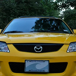 lexi edit front.webp