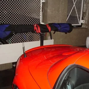 DSC03301 (Medium).webp