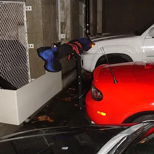 DSC03303 (Medium).webp