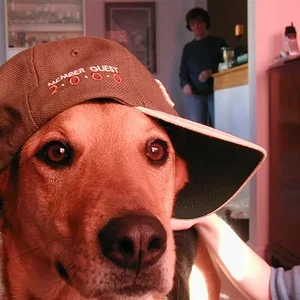 PC030116 (Medium).webp