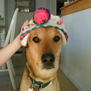 PC030117 (Medium).webp