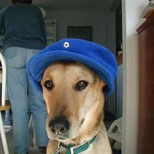 PC030118 (Medium).webp