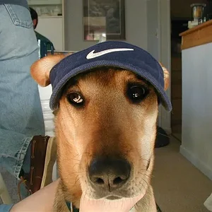 PC030119 (Medium).webp