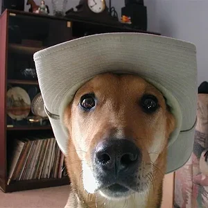 PC030121 (Medium).webp