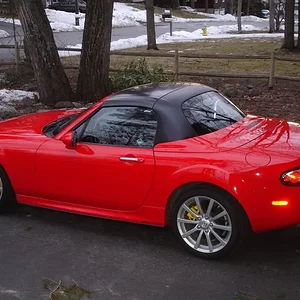 DSC03305 (Medium).webp