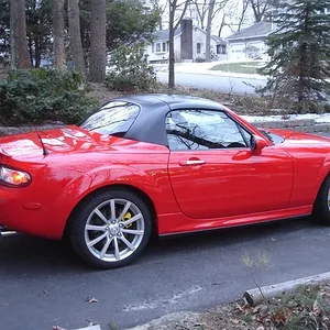 DSC03307 (Medium).webp