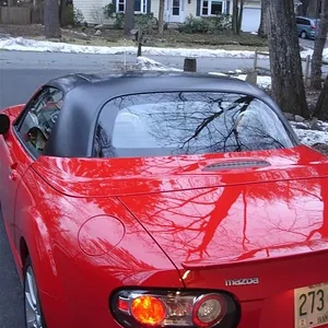 DSC03308 (Medium).webp