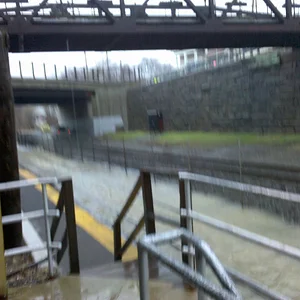 2010-03-30 15.19.53.webp