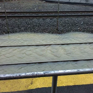 2010-03-30 15.29.08.webp