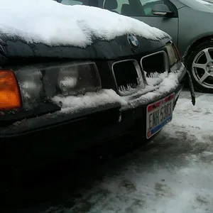 IMG00936-20110201-0826.webp