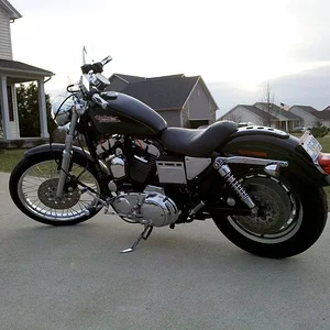 IMG_20110303_175623 [1024x768].webp