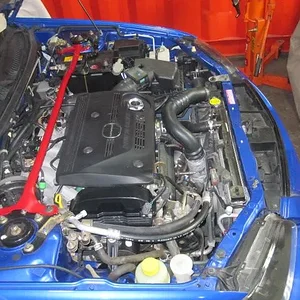 68 trans together 003.webp