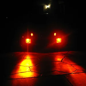 DCFN0001.JPG
