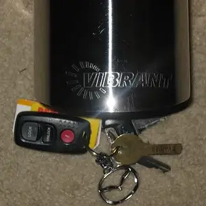 vibrantexhaust.JPG