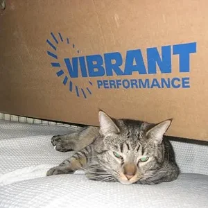 vibrantison 026.2.JPG