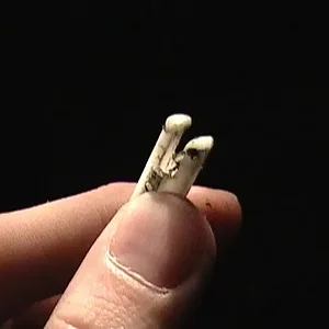 pic 7.jpg