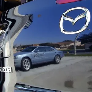 Protege_reflection.jpg