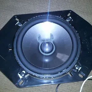 Speaker in Plate.webp