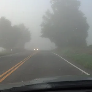 Drive to Work (4).webp