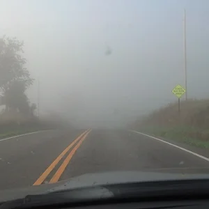 Drive to Work (5).webp