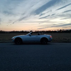 Emilia - April 11th 2017.webp