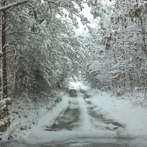 2012-03-05 snow.webp