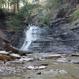 Annotation 2020-05-17 005817.webp