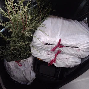 IMG_20260515_081827.webp