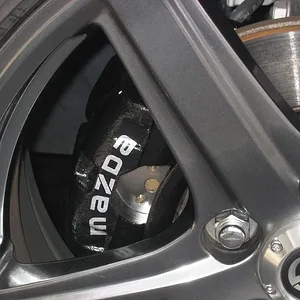 Painted Brakes 008.jpg