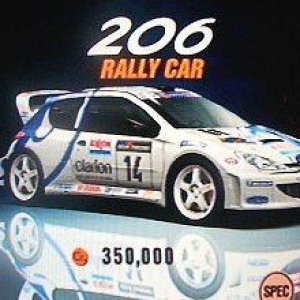 206rally.jpg