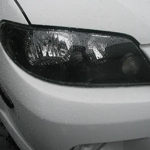 P1010027.JPG