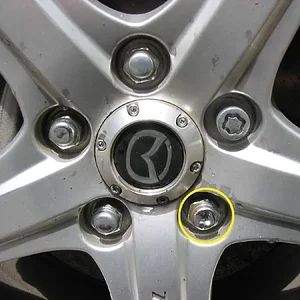 lugnut df.jpg