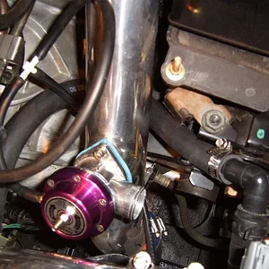 S4300219.JPG
