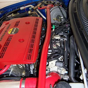 Picture_1503.JPG