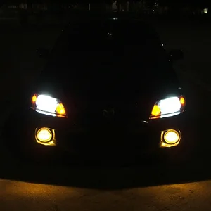 fogs_front.jpg