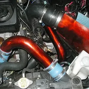 closeup3.JPG