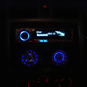 gauges 001.jpg